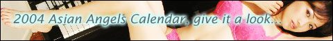 2008 Asian Angels Calendar